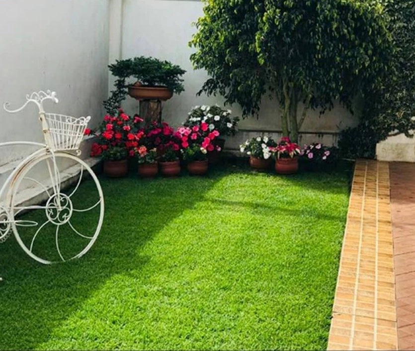 انواع چمن مصنوعی در اصفهان